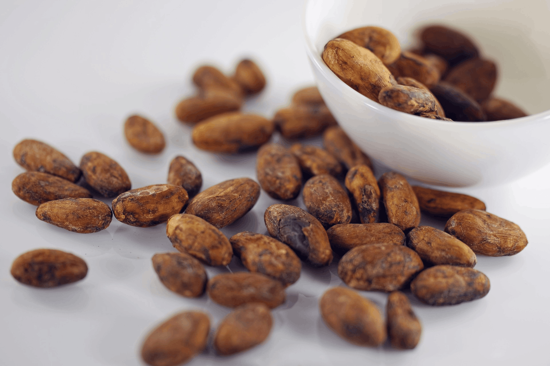 Cocoa powder and cocoa beans