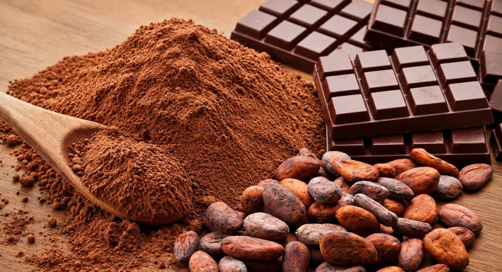 Wooden spoon in a mound of cocoa powder with dark chocolate bars and roasted cocoa beans
