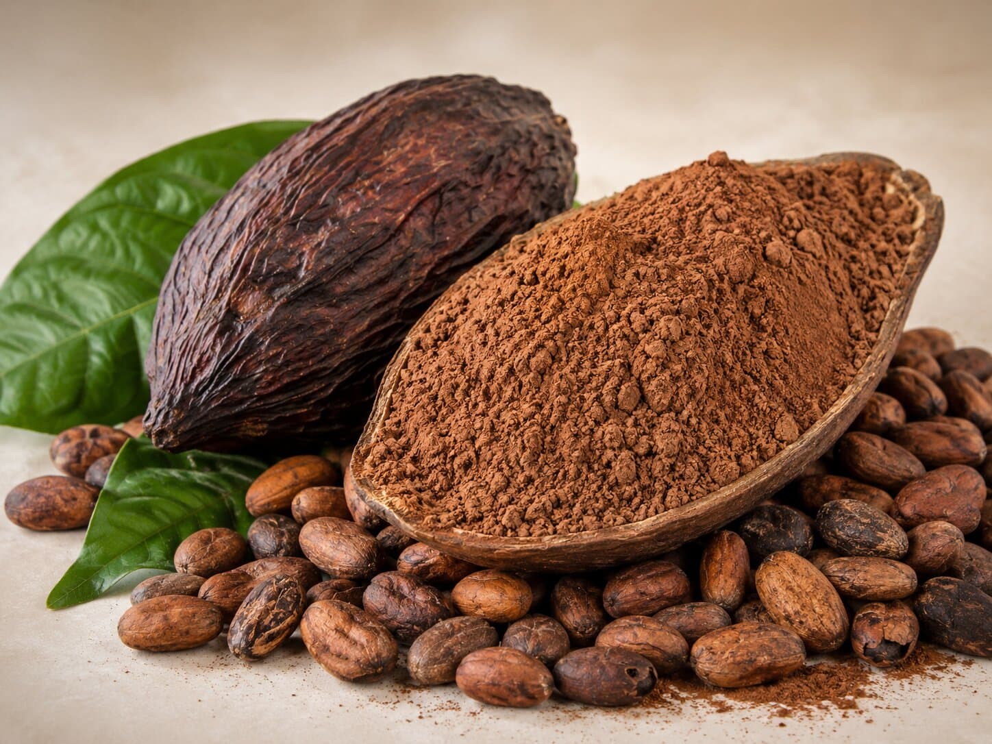 ALKALIZED COCOA POWDER - KR 30